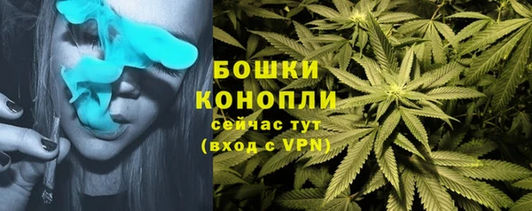 гидра Абдулино