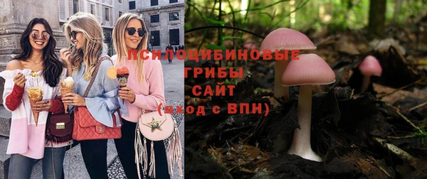 стафф Абаза